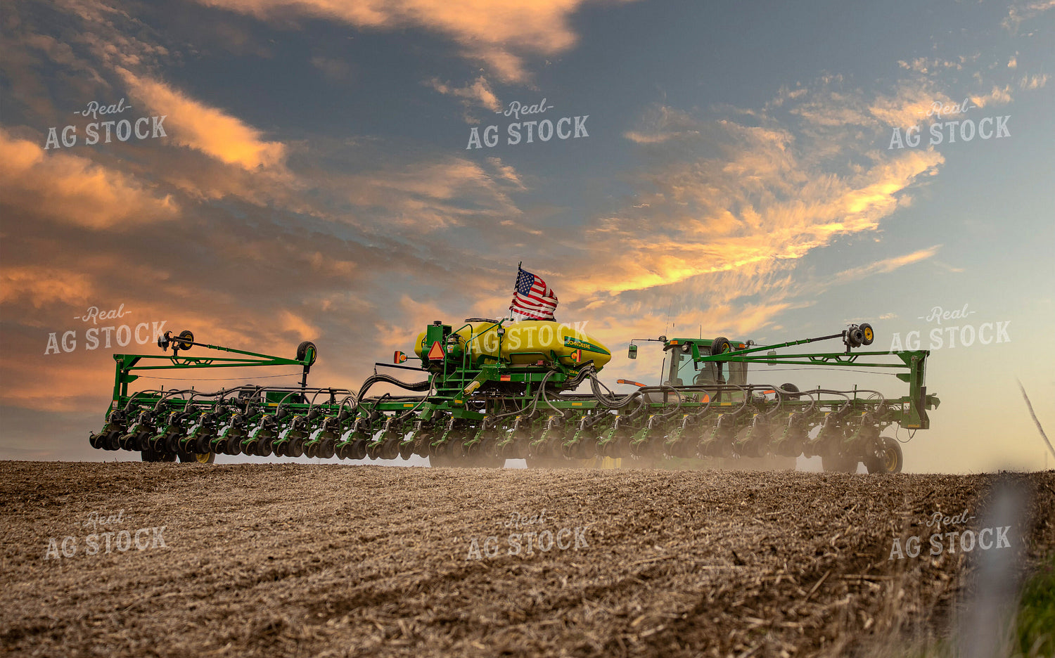 Planting 215019