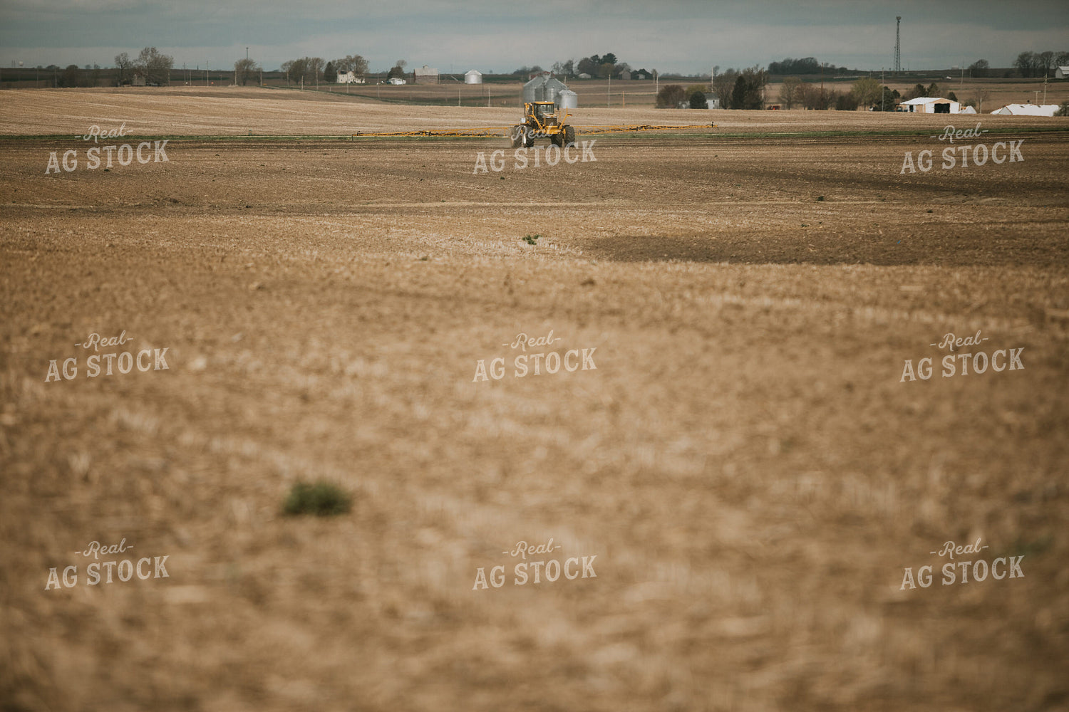 Spring Burndown - Preplant 5411