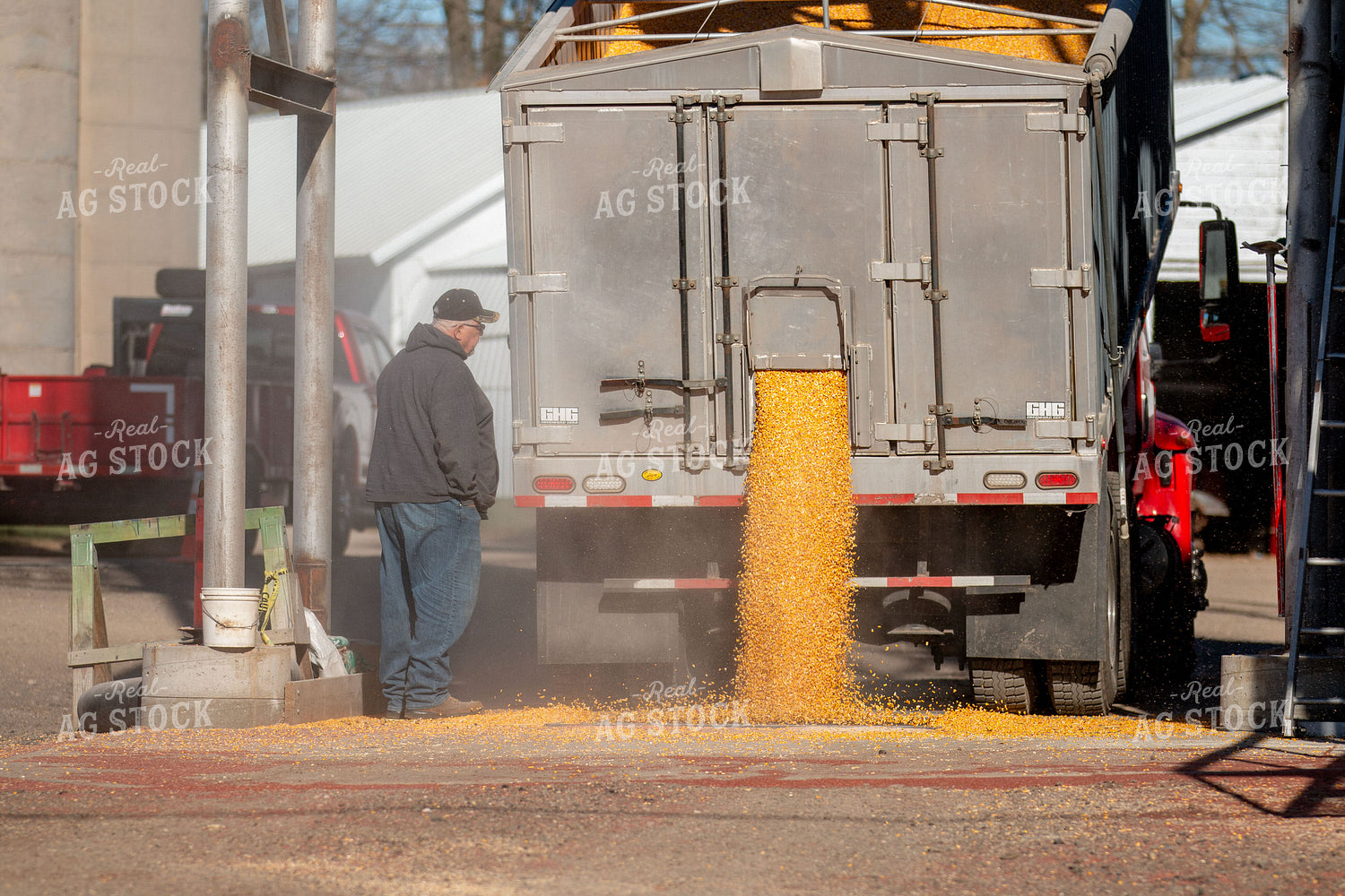 Dumping Grain 157071