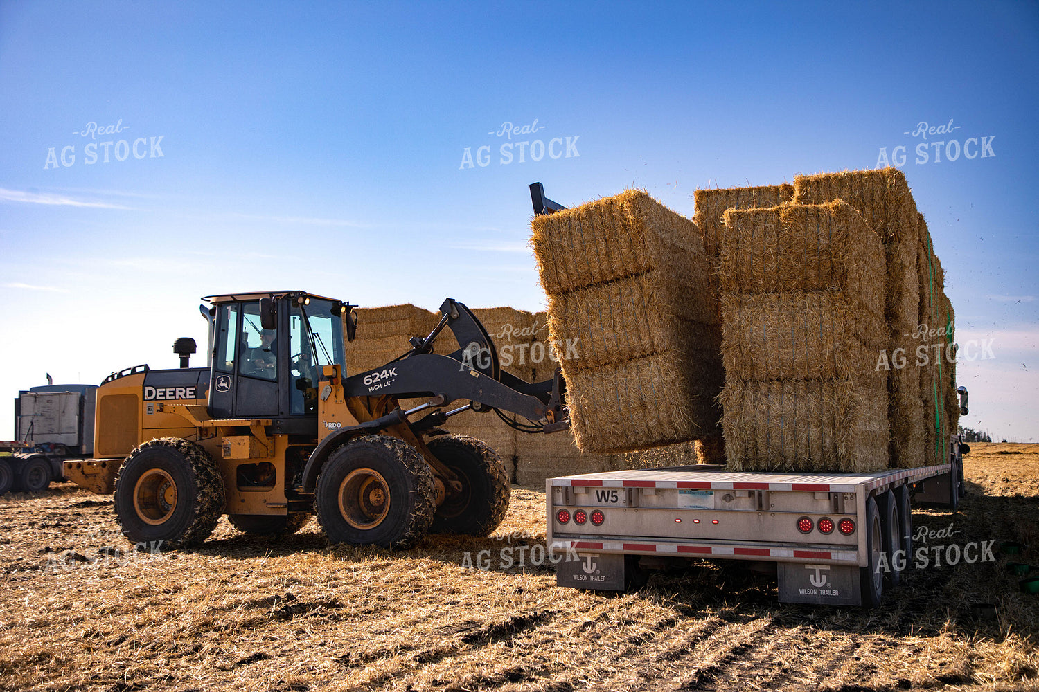 Stacking Wheat Straw Bales 152573