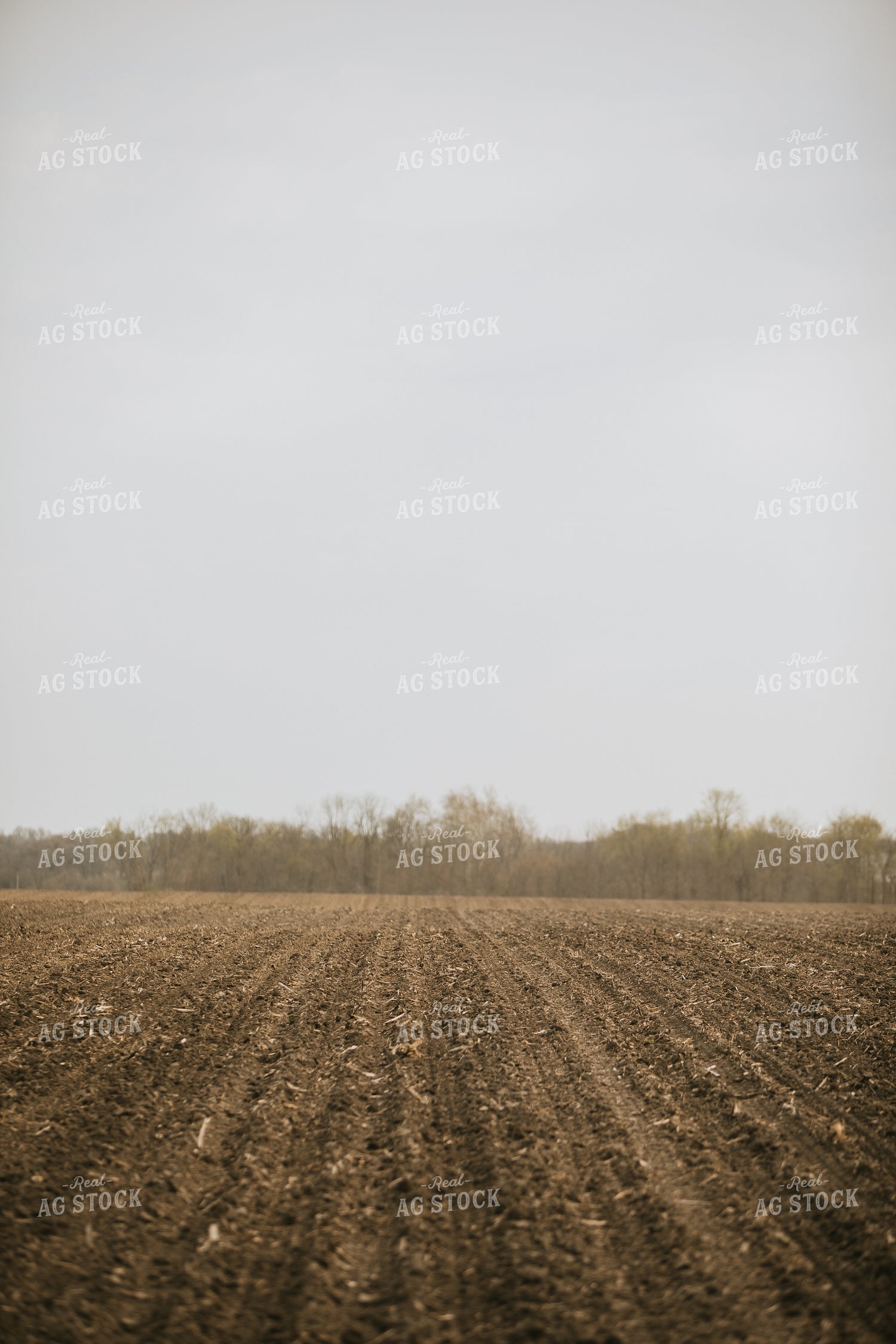Just Planted Soil in Field 5468