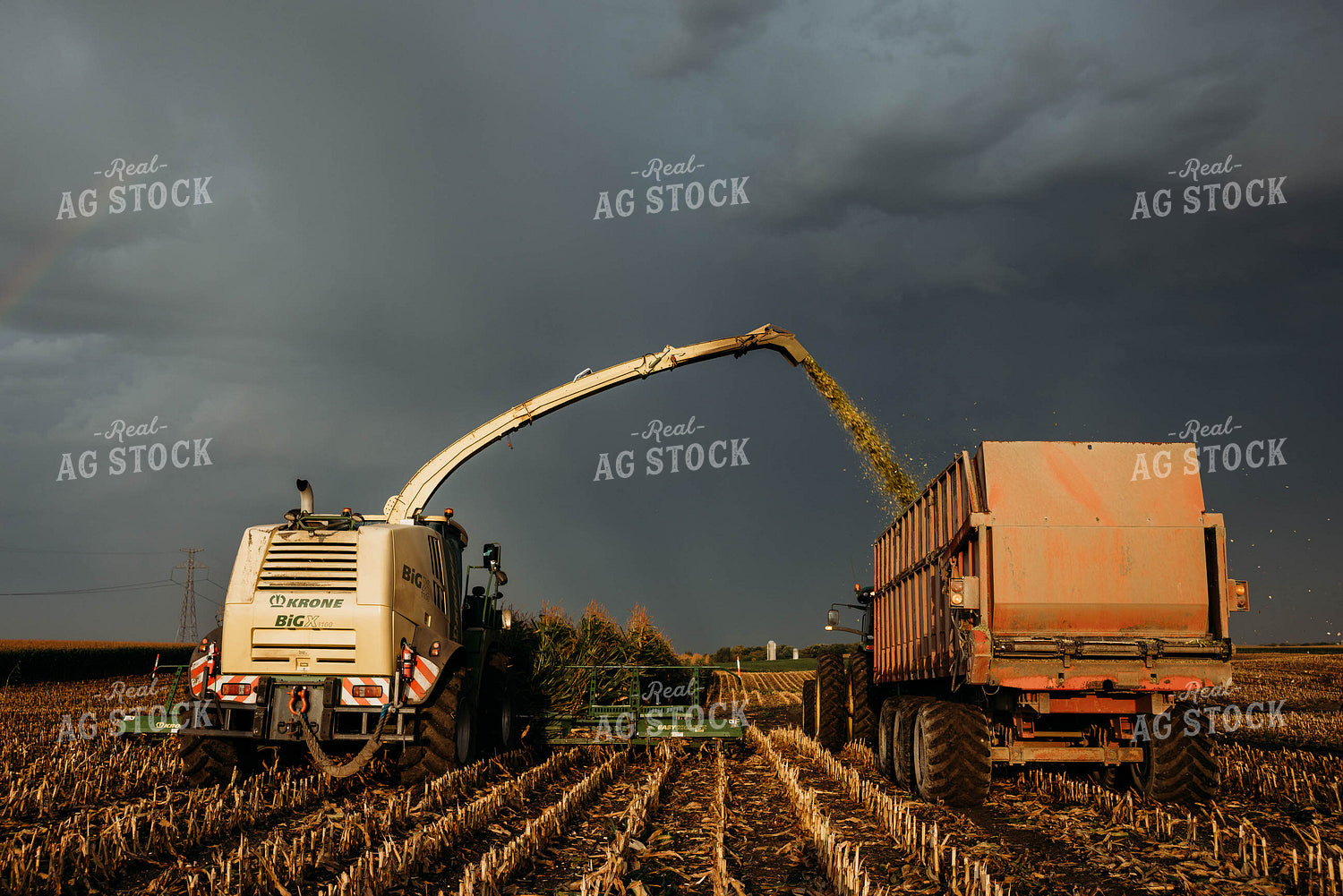 Chopping Corn Silage 152041