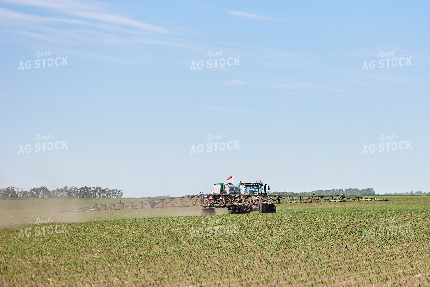 Spraying 216009