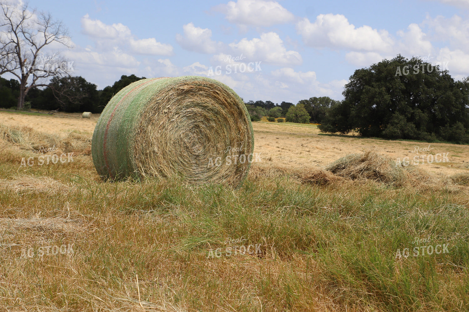Hay Bale 102095