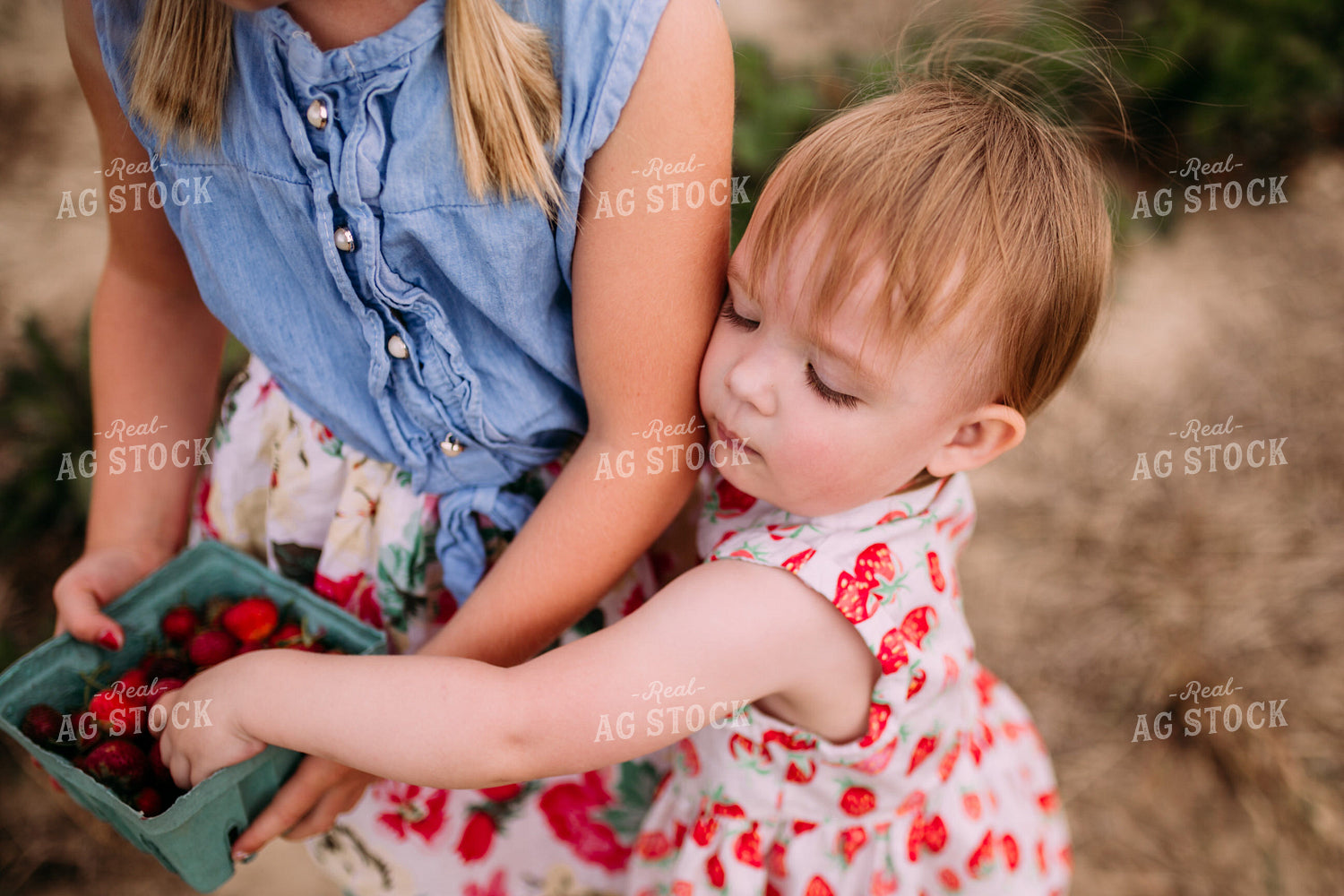 Farm Kids in Strawberry Patch 169026