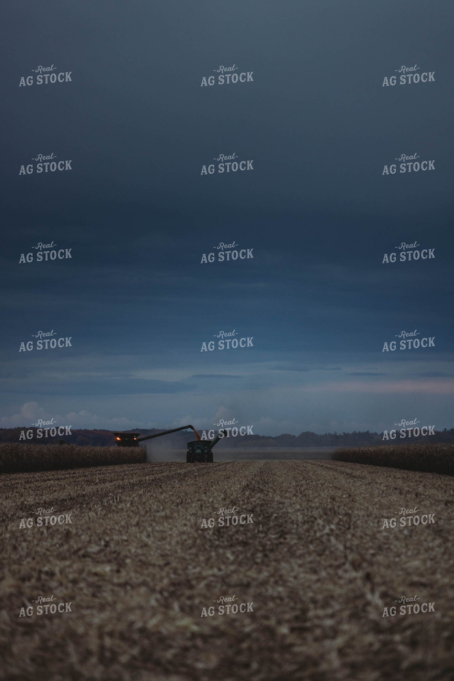 Corn Harvest 8634