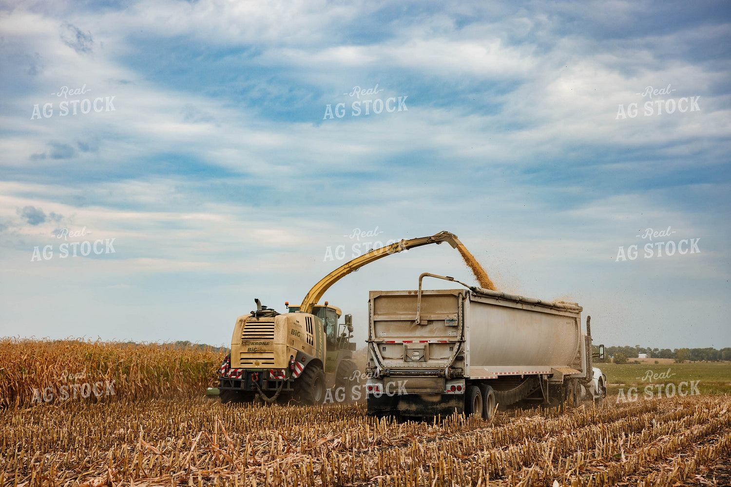 Silage Harvest 152310
