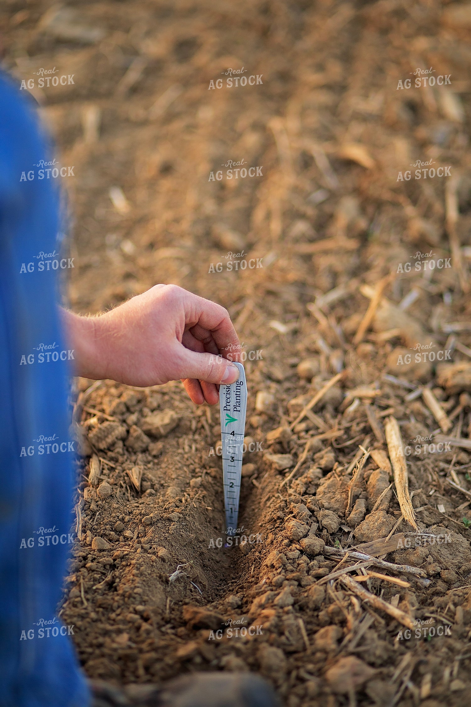 Farmer Checks Seed Depth After Planting 93203