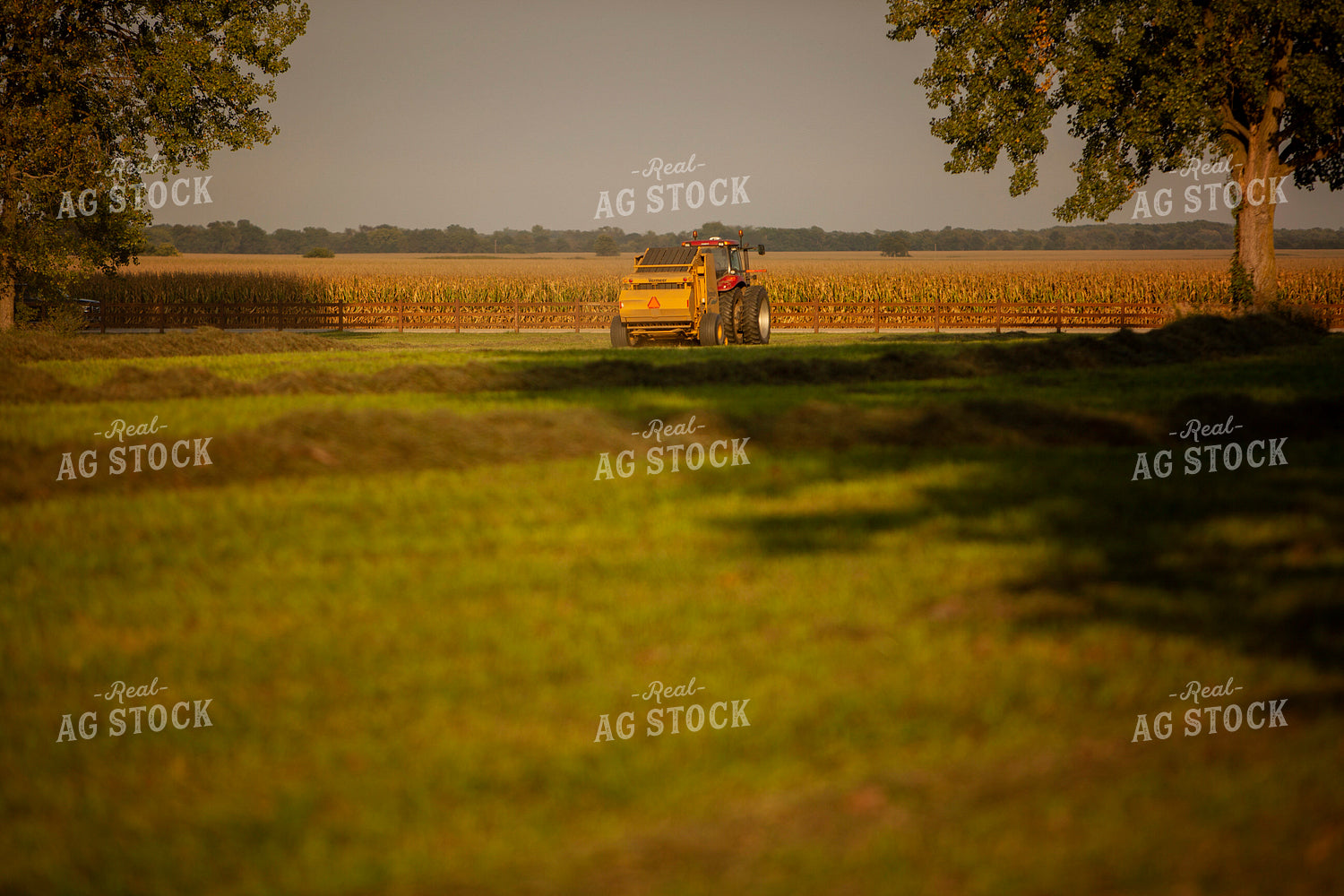 Tractor and Baler from the Back 5497