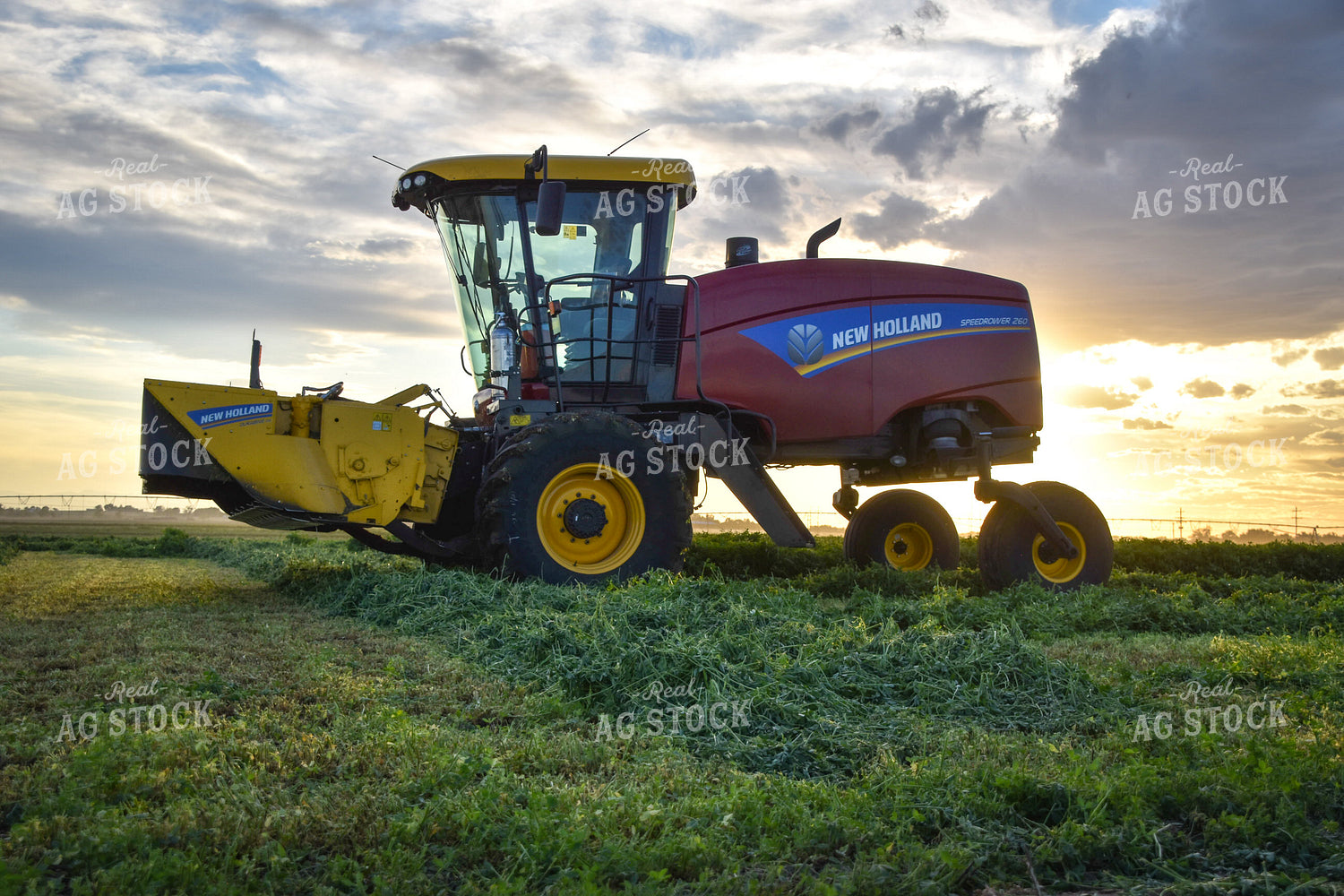 Cutting Alfalfa Hay 56343