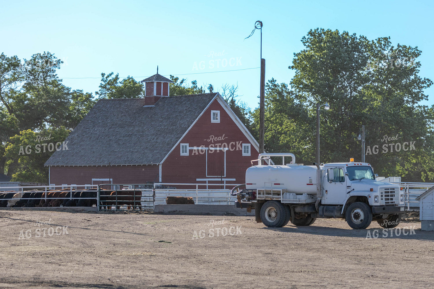 Red Barn on Farmstead 97024