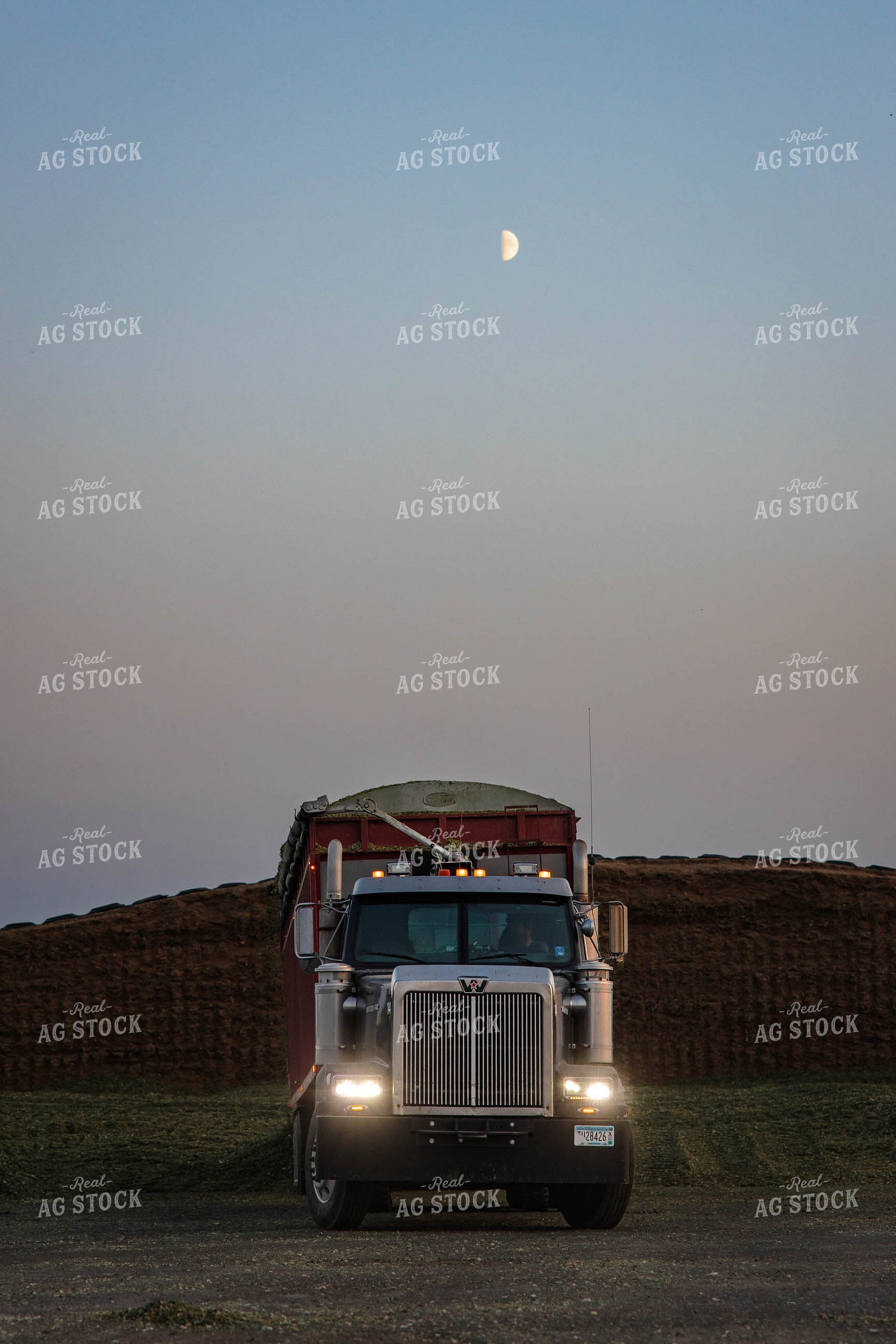 Storing Corn Silage 152524
