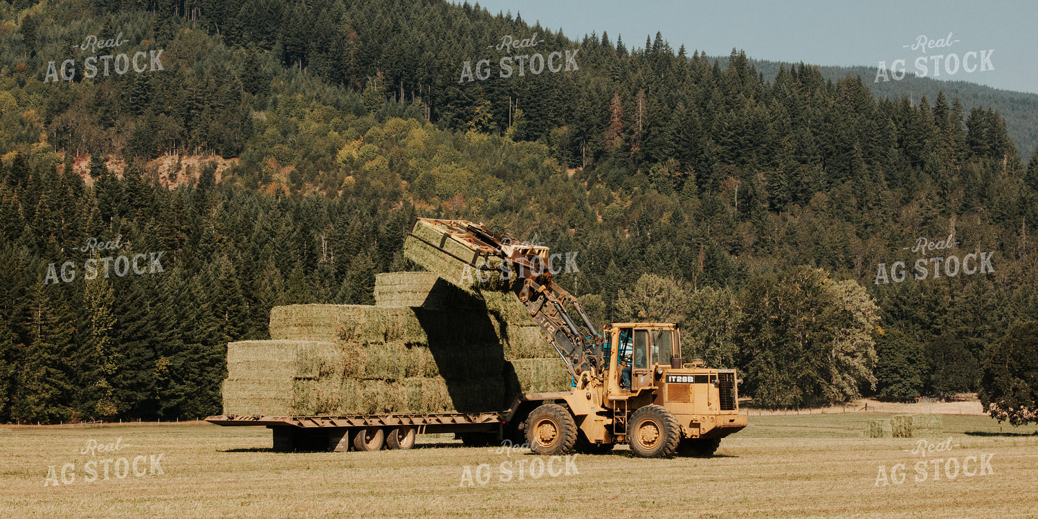 Loading Large Square Hay Bales 66023