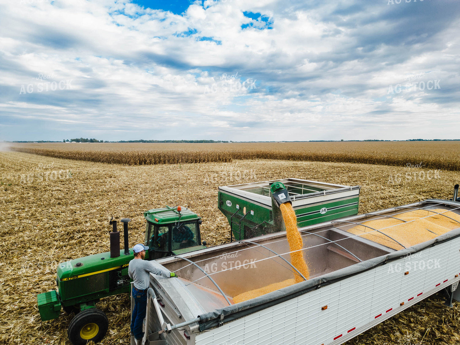 Corn Harvest 115104