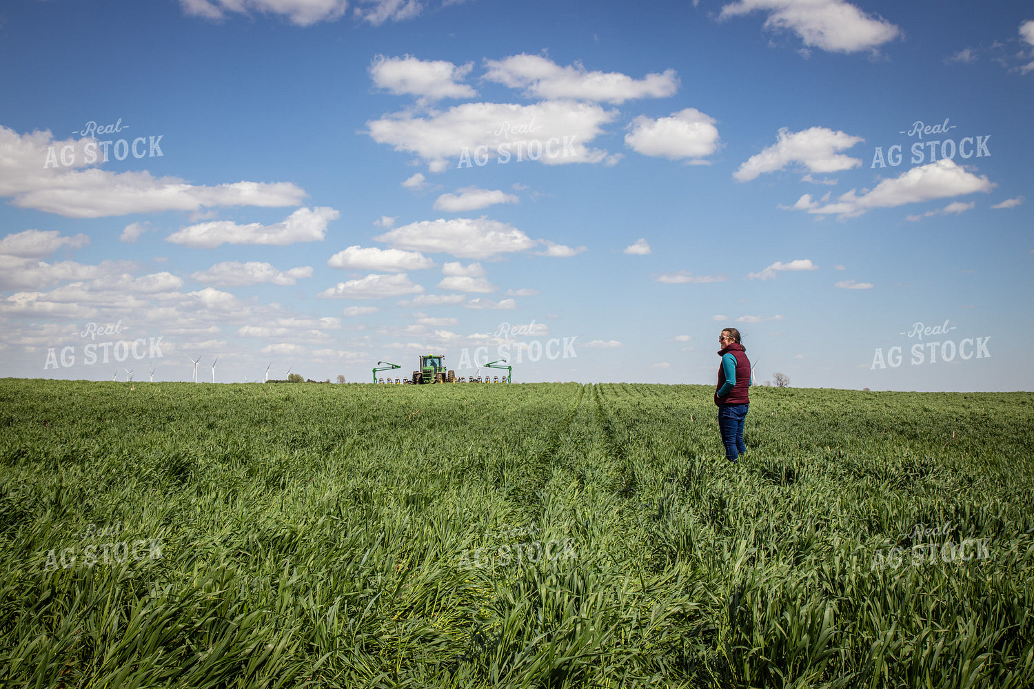 Walking through Cover Crops 67689