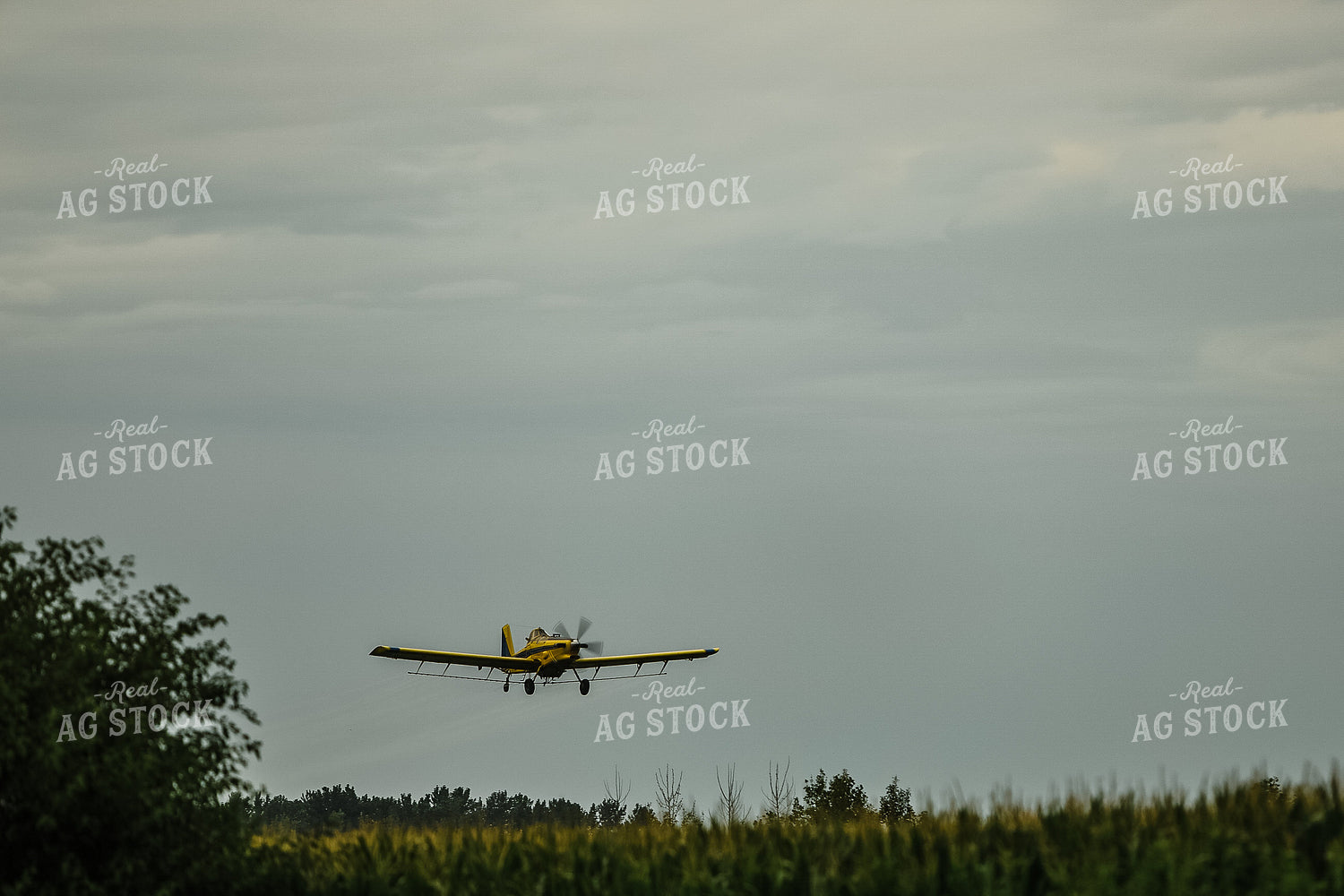 Crop Duster Corn Field 3133