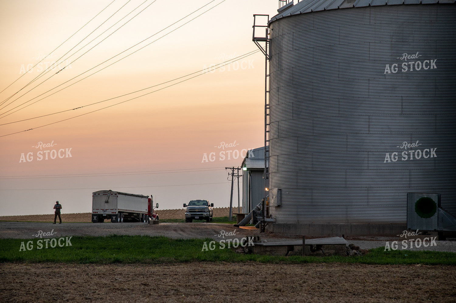 Farmer Working at Grain Bin Site during Harvest 25796
