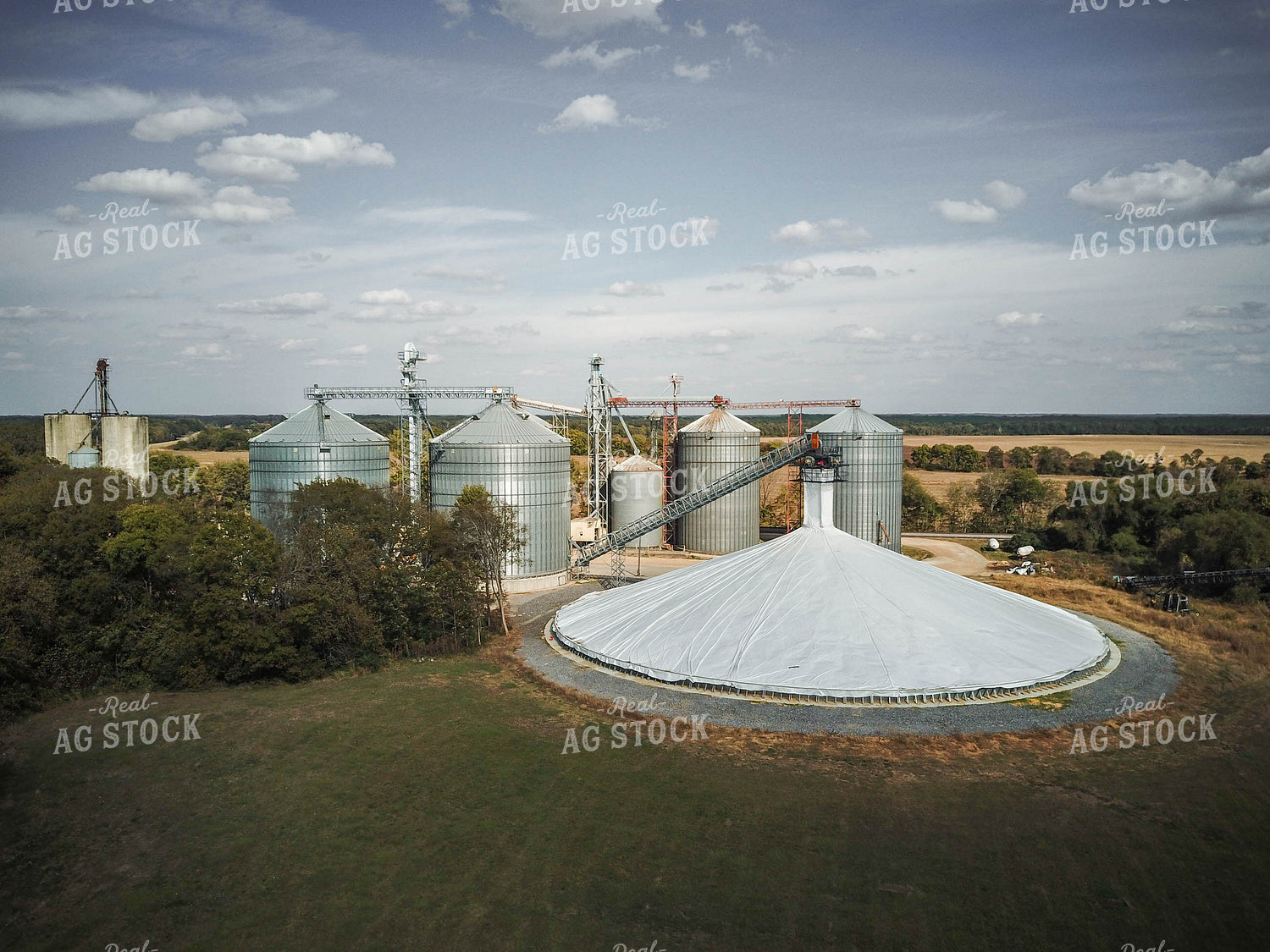 Grain Elevator 79155