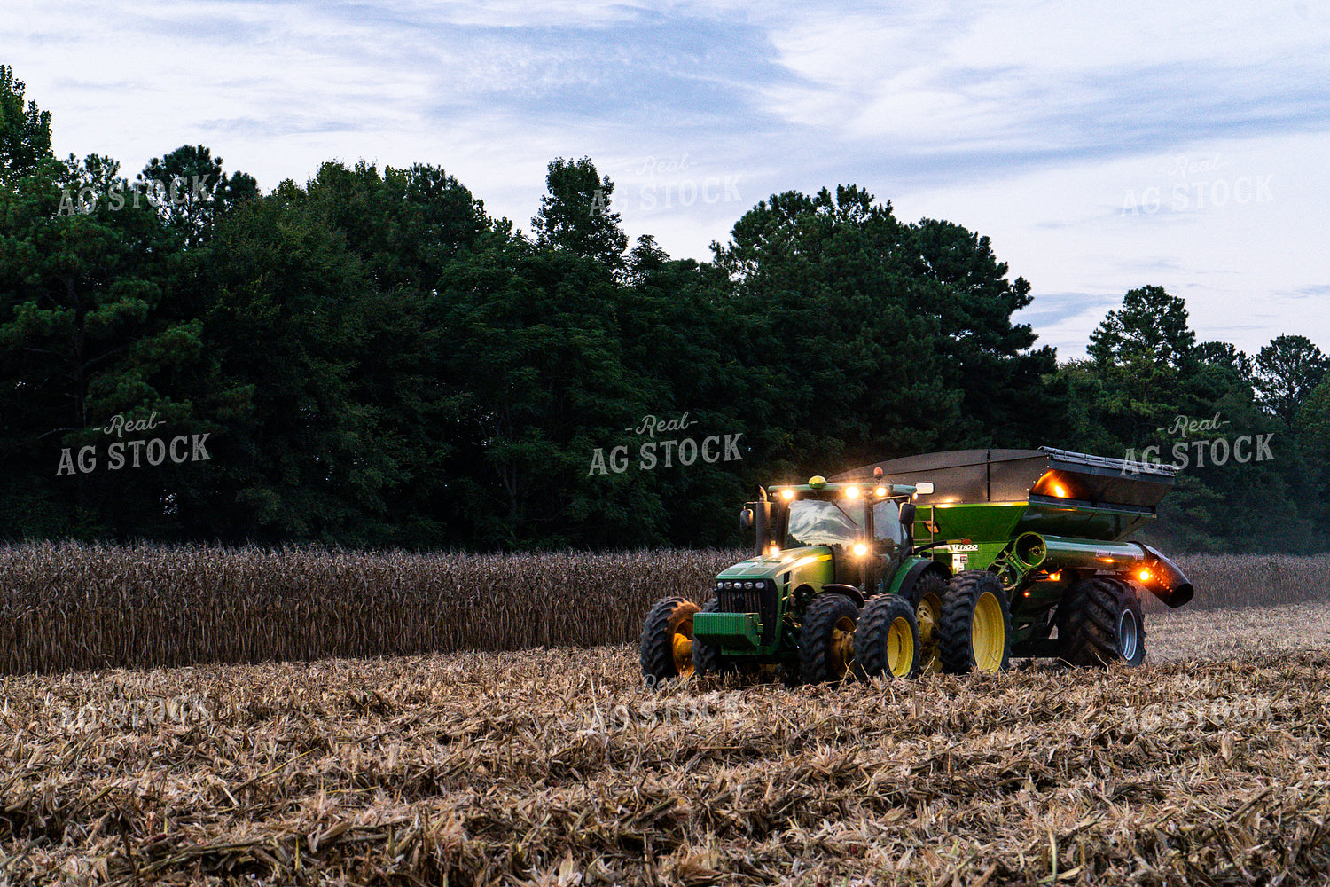 Corn Harvest 128046