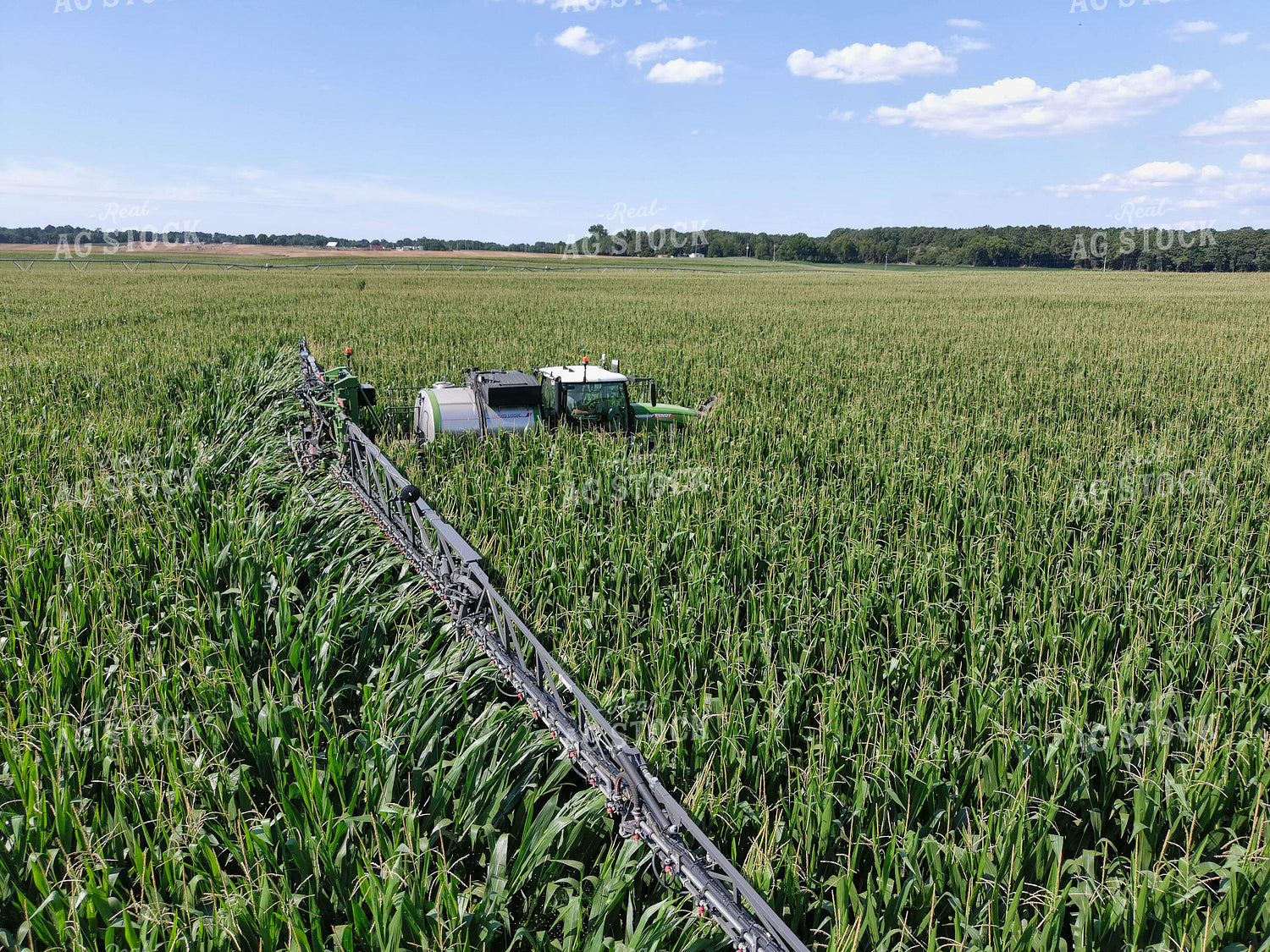 Sprayer in Corn Field 79112