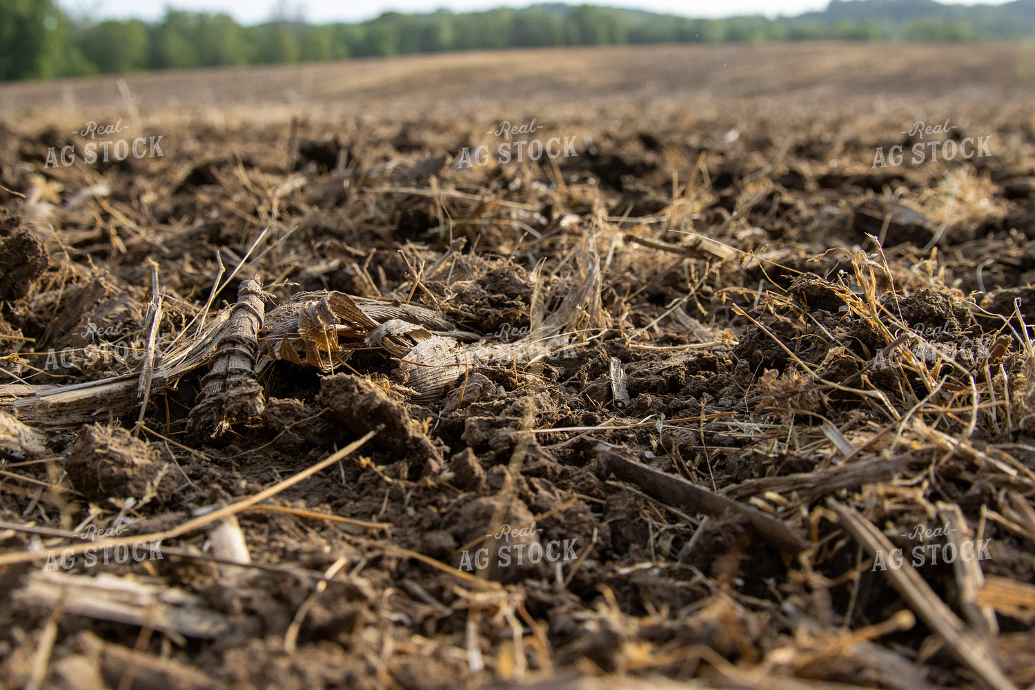 Freshly Tilled Spring Soil 52094