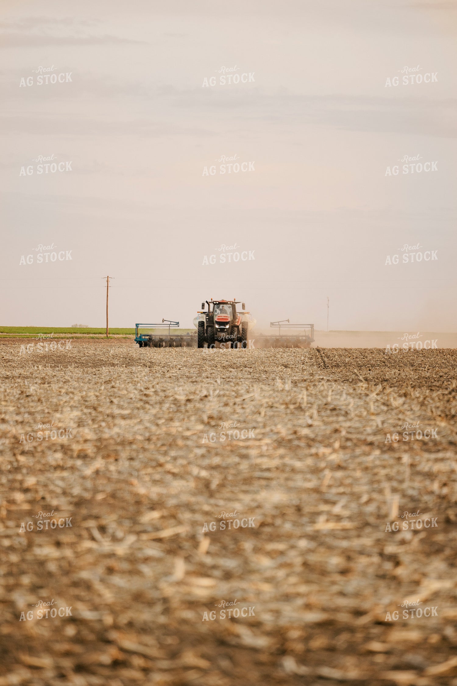 Planting 207030