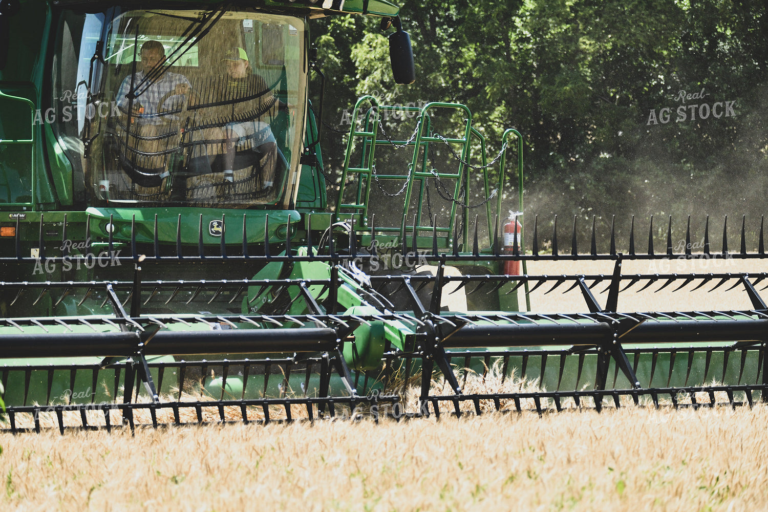 Combining Wheat 86014