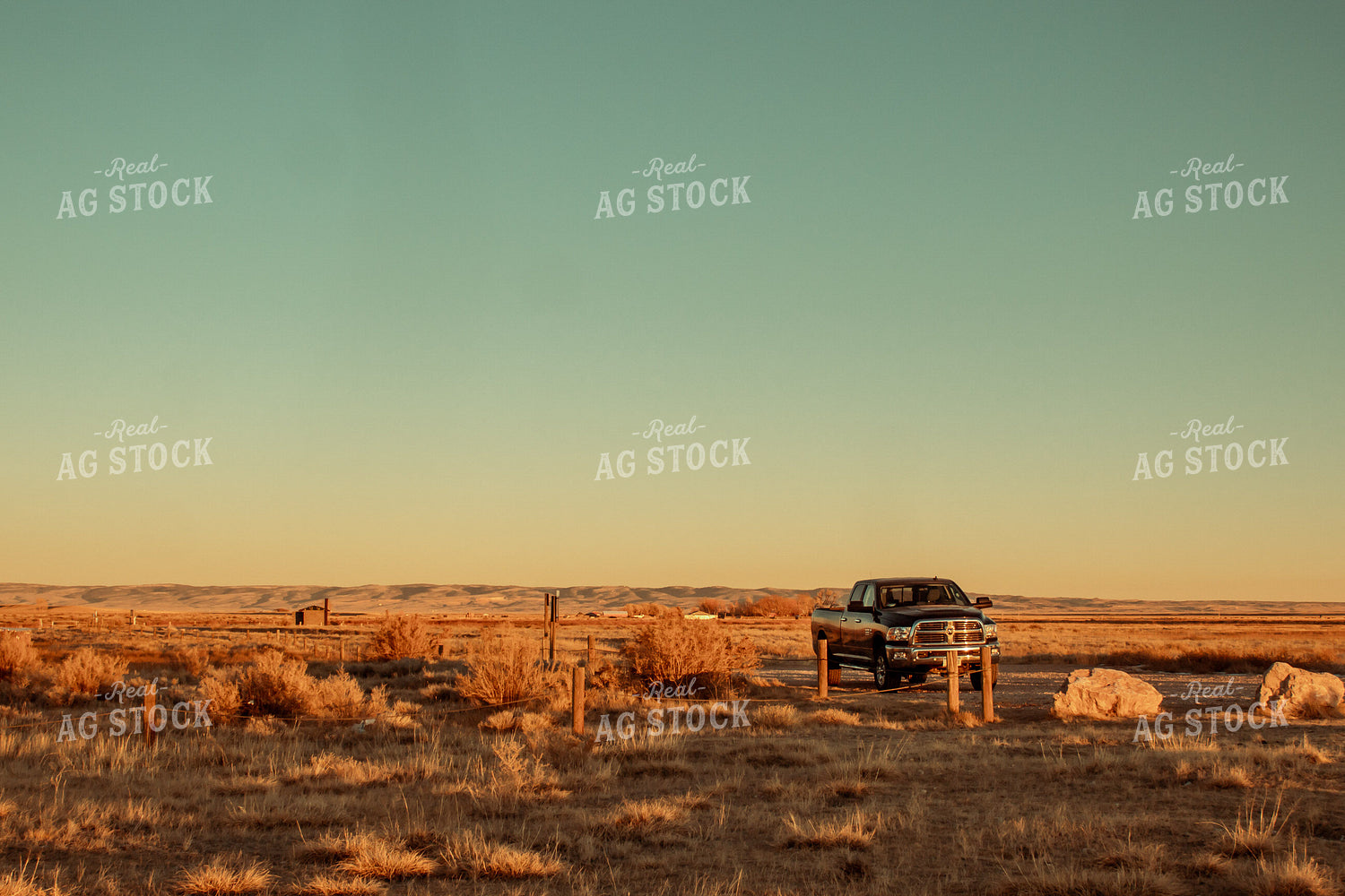 Pickup Truck in Western Pasture 58014