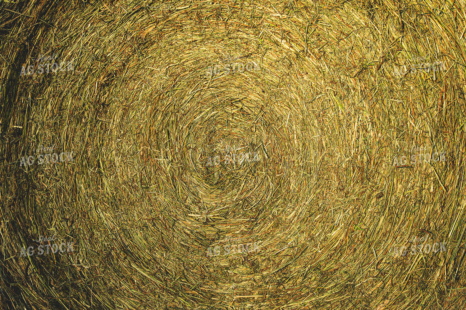 Round Bale 189058