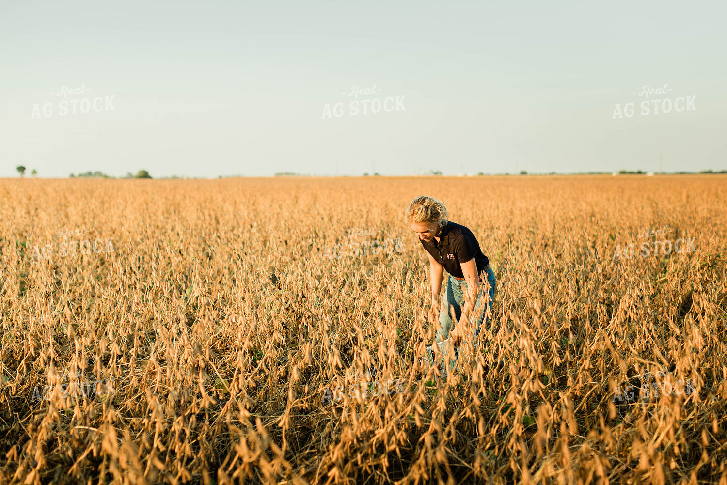 Female Agronomist Checking Beans 8302