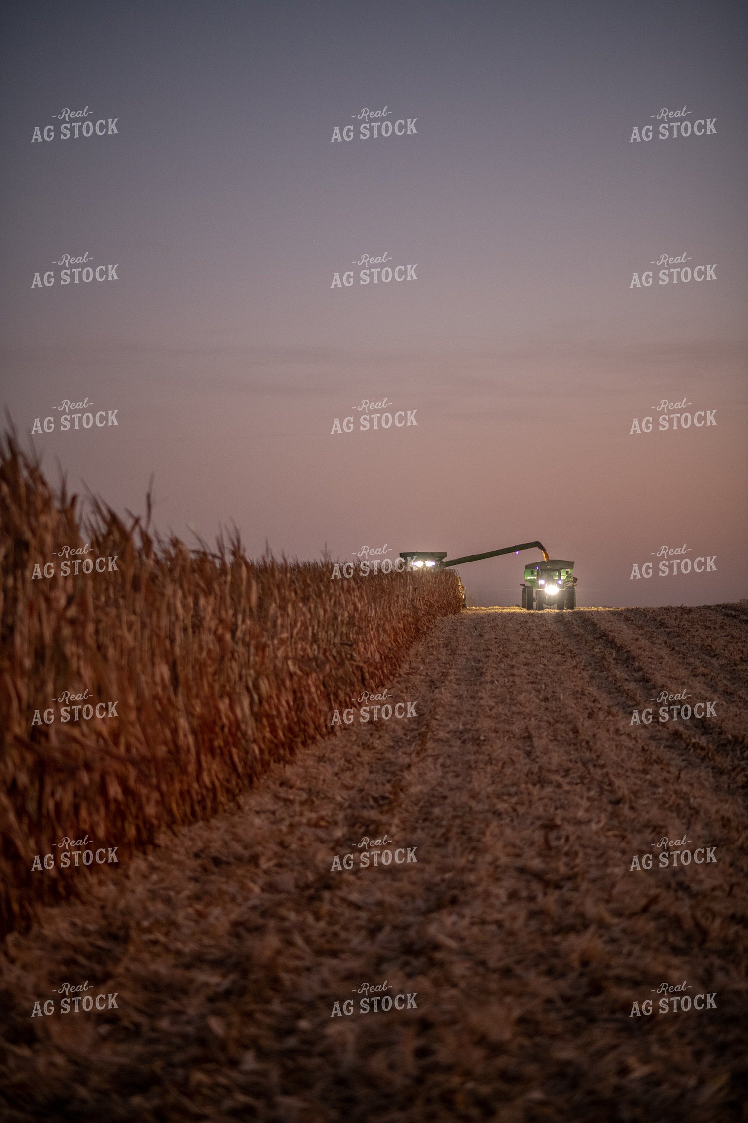 Corn Harvest at Dusk 76343