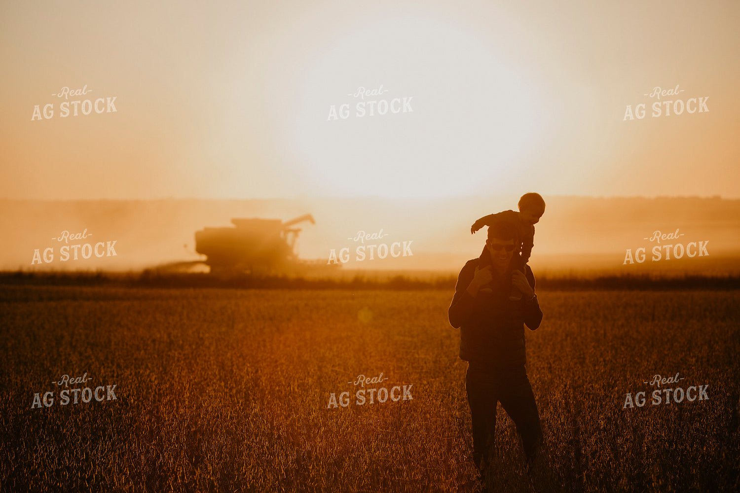 Harvest 2590