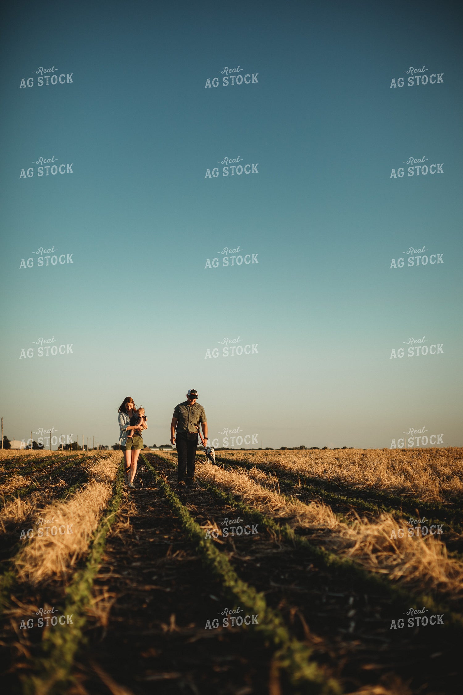 Farm Family in Soybean and Rye Cover Crop Field 5897