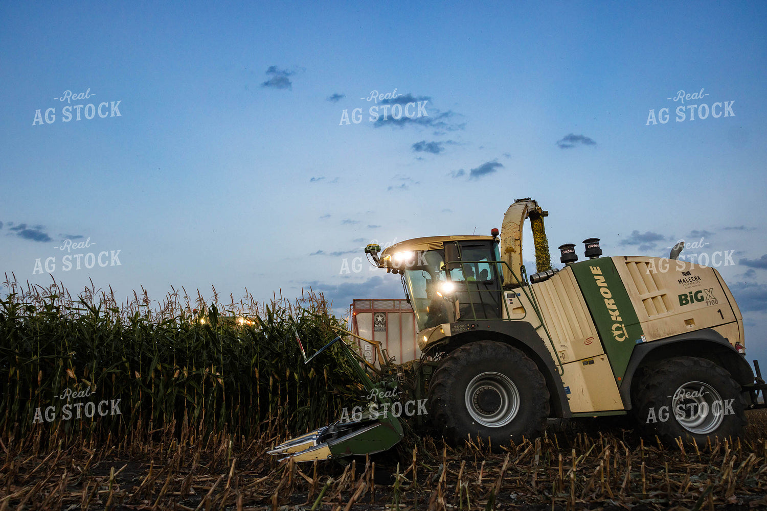 Chopping Corn Silage 152559