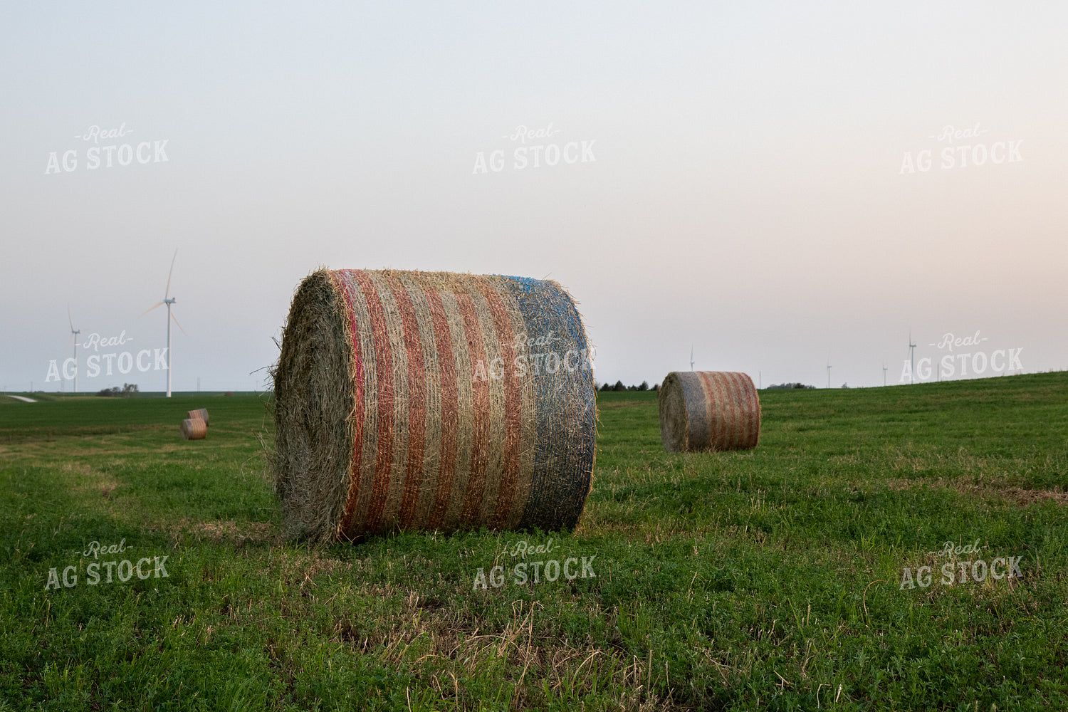 Round Bales in Field 67257