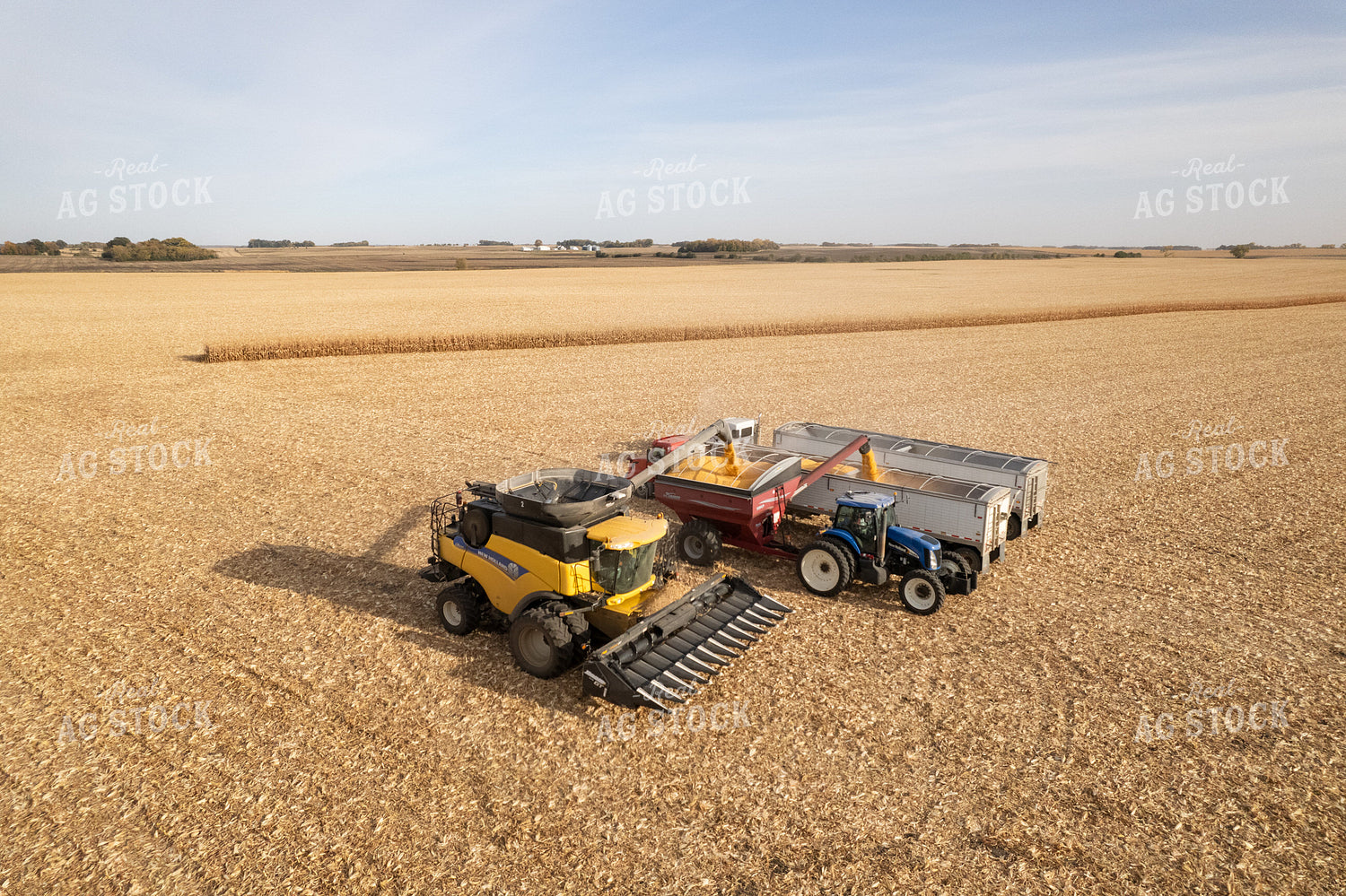 Corn Harvest 255012