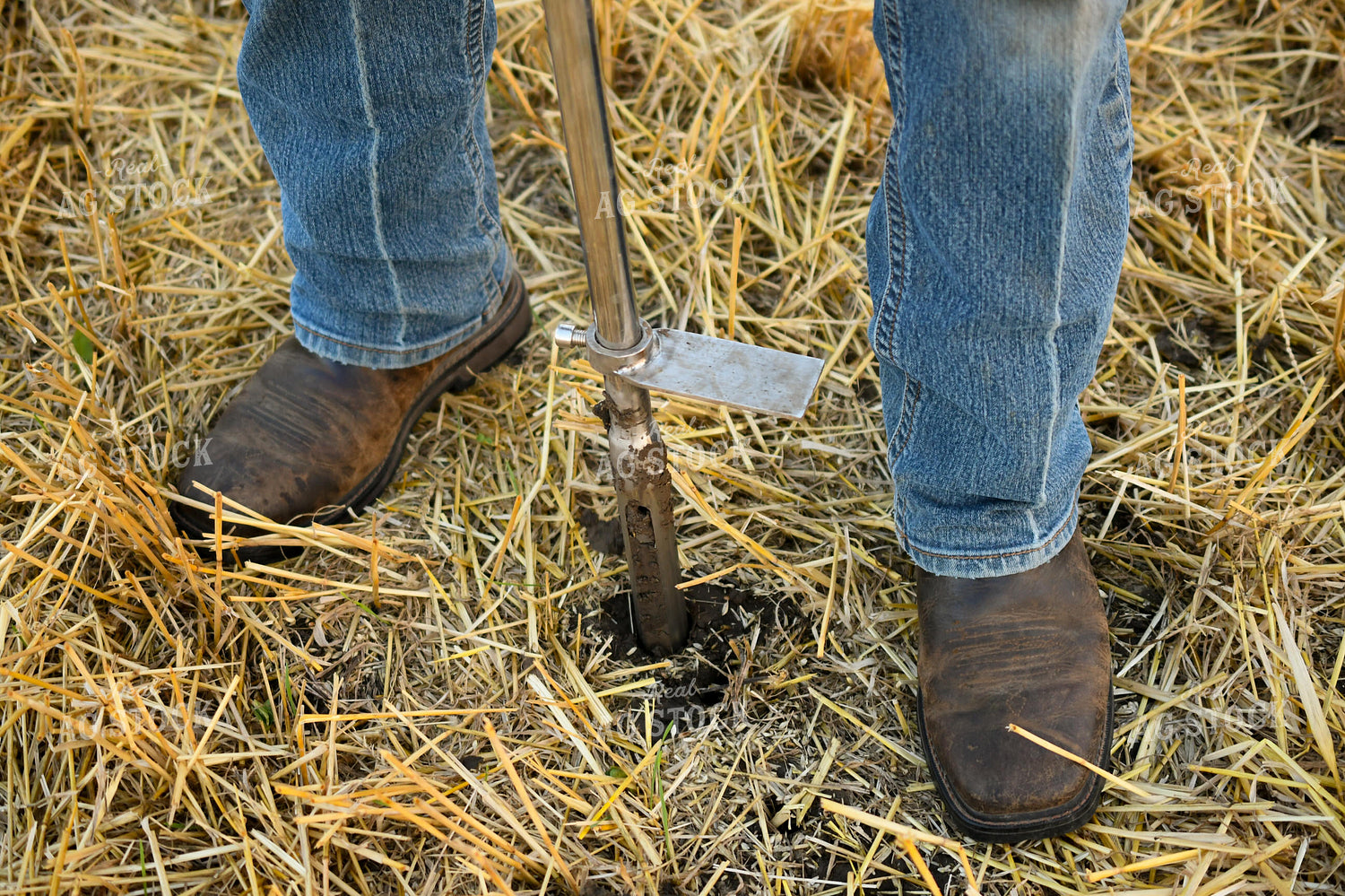 Soil Sampling 191213