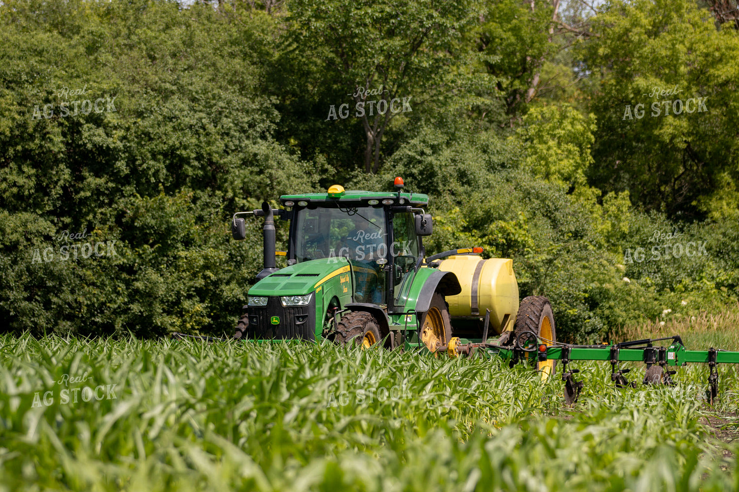 Spraying Corn 157186