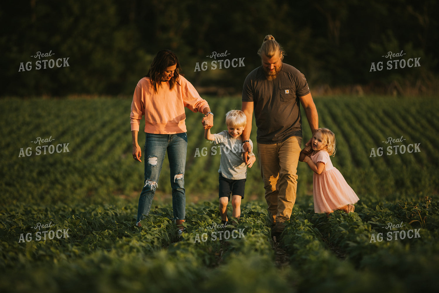 Farm Family in Soybean Field 6017