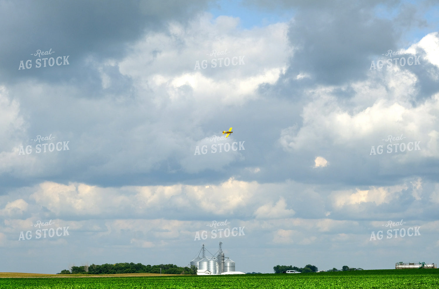 Crop Duster Spraying Cornfield 154095