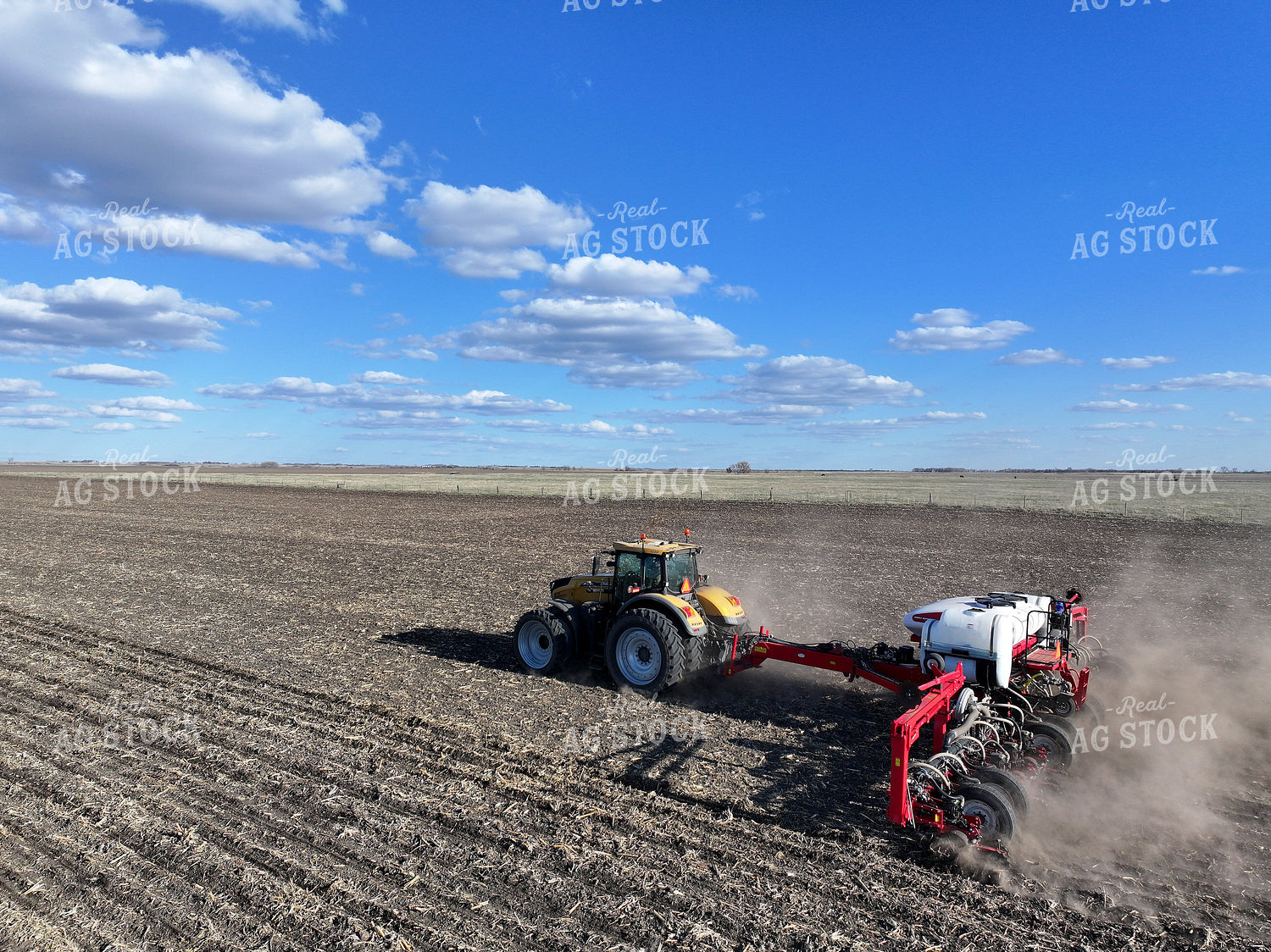 Planting 141110