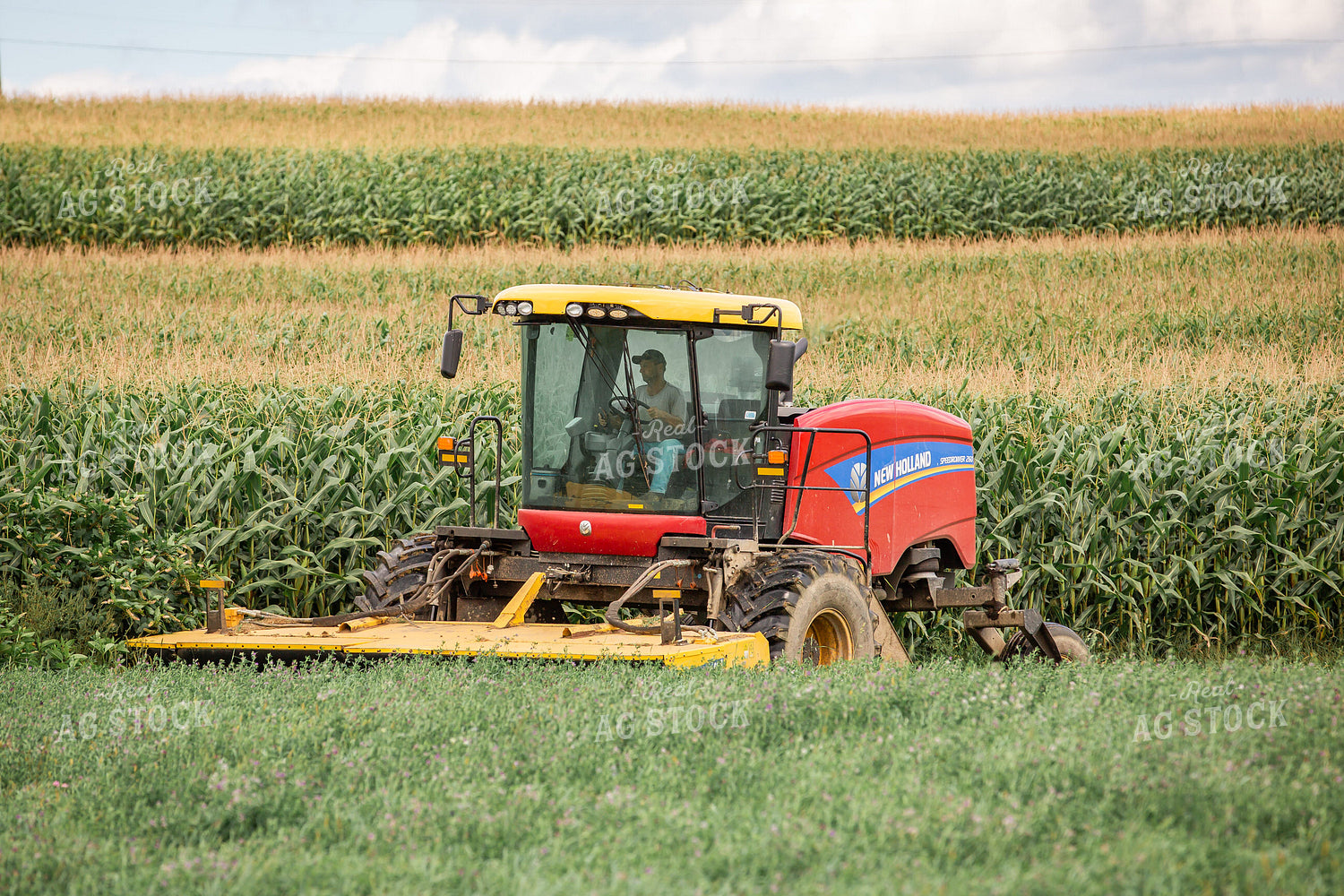 Mowing Hay 270151