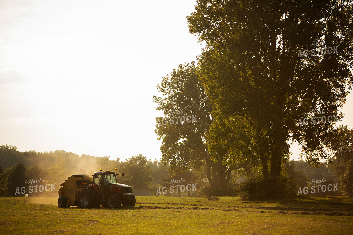 Tractor Baling Hay 5494
