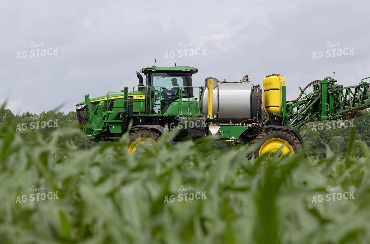 Spraying 79655