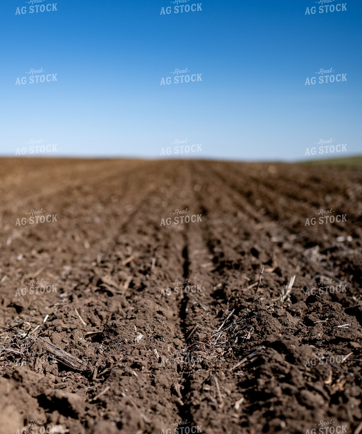 Freshly Planted Soil 185193