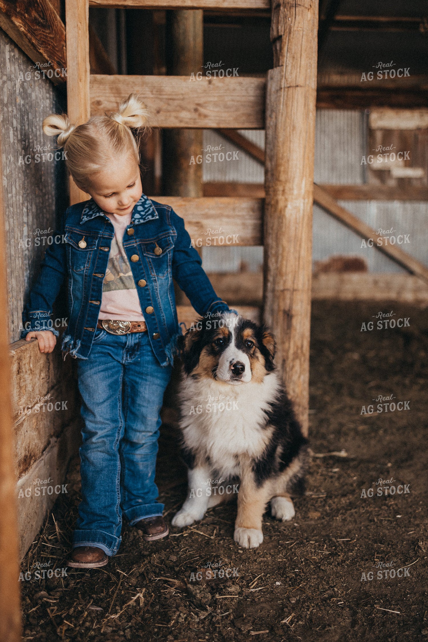 Farm Kid in Barn with Dog 61128