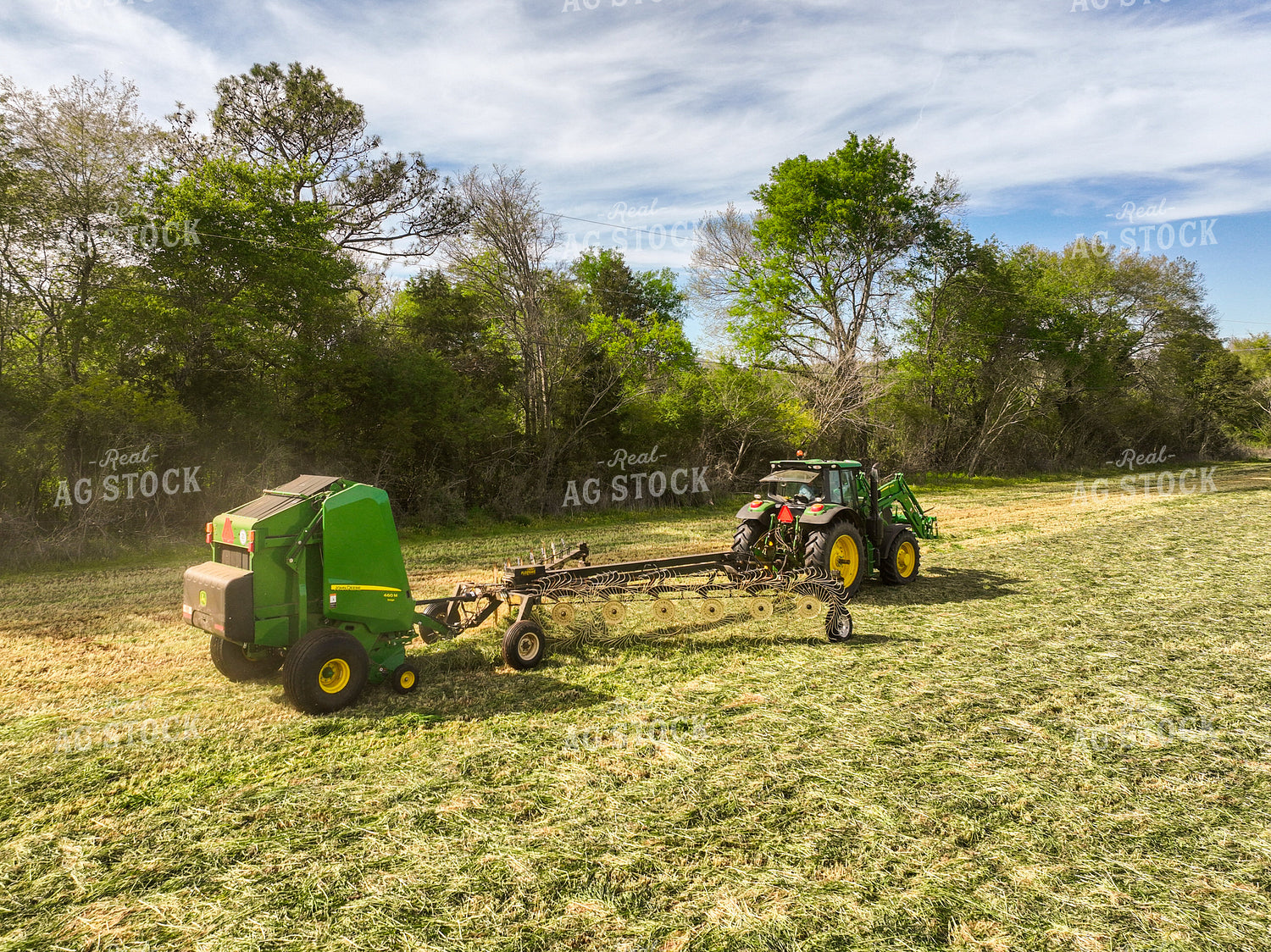 Blaing Hay 128085