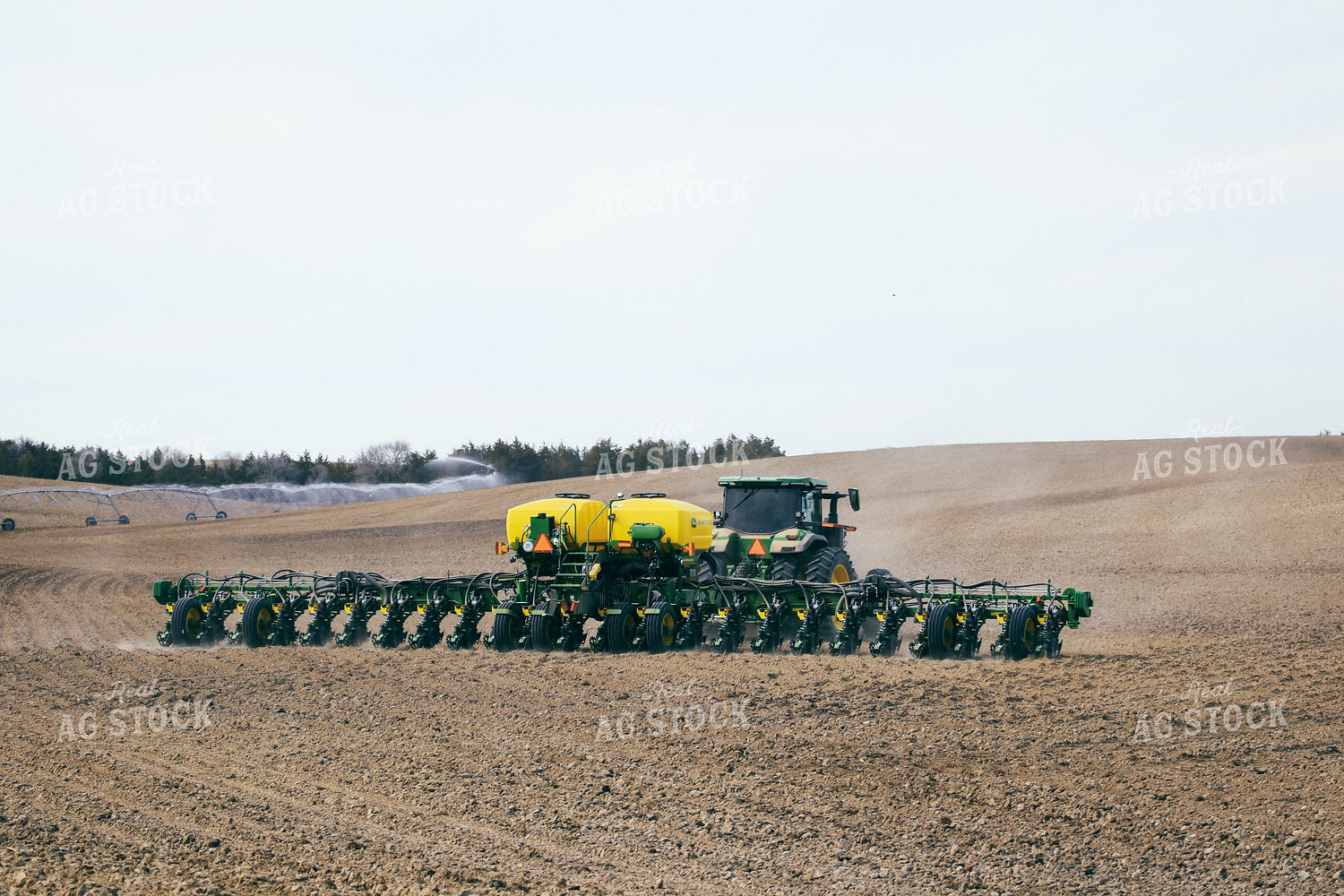 Planting 82136