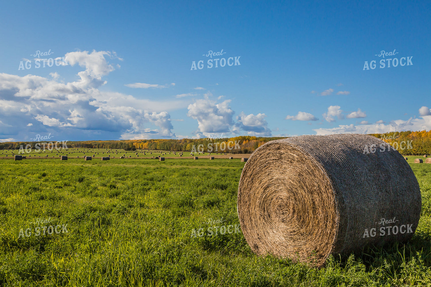 Hay Bales at Sunset 138124