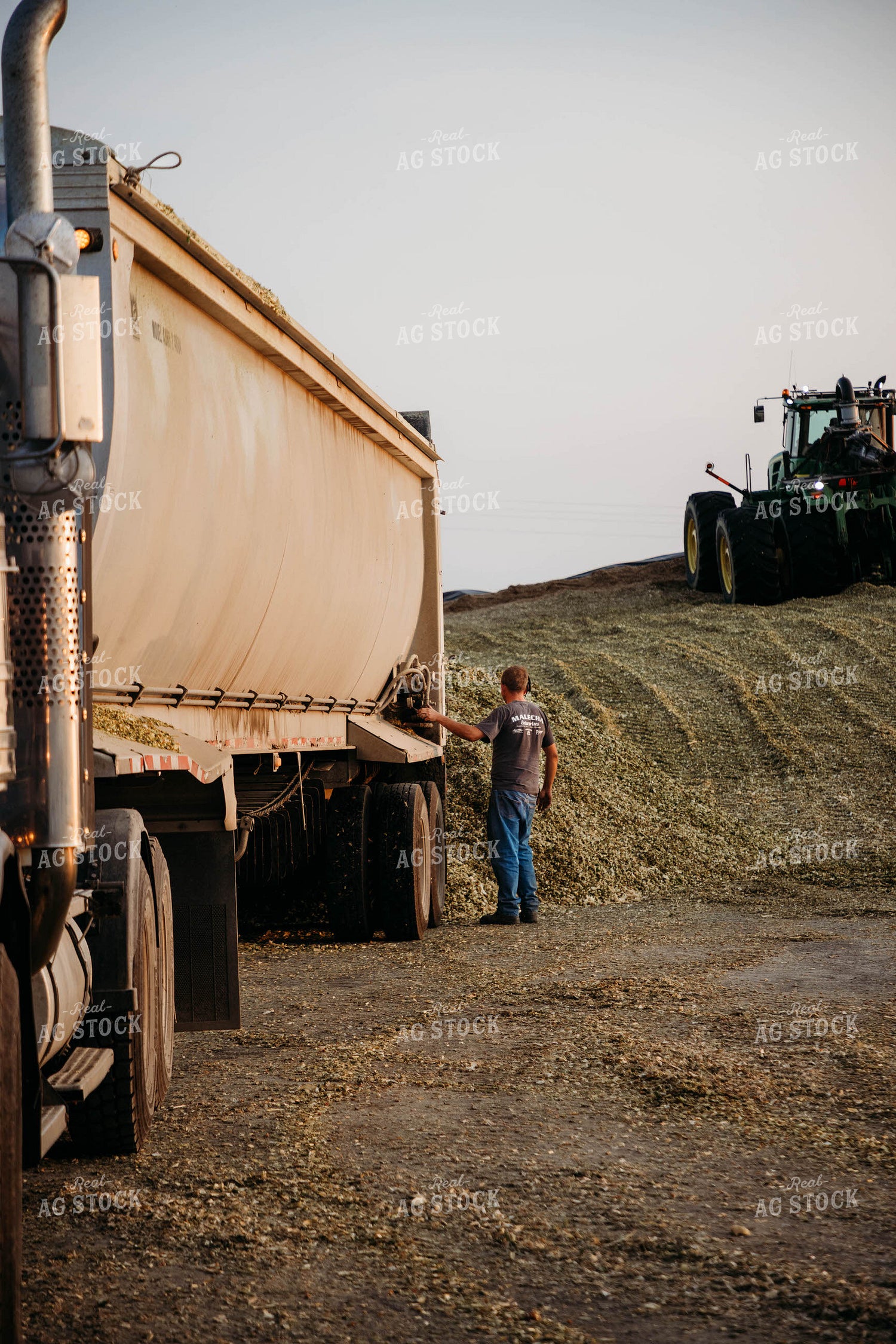 Dumping Silage 152048